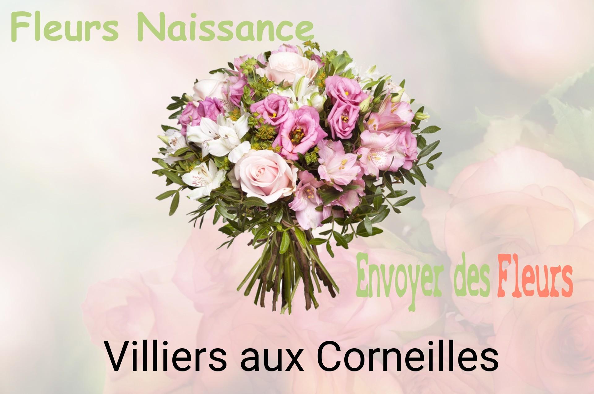 Bouquet de fleurs de naissance livré à Villiers-aux-Corneilles