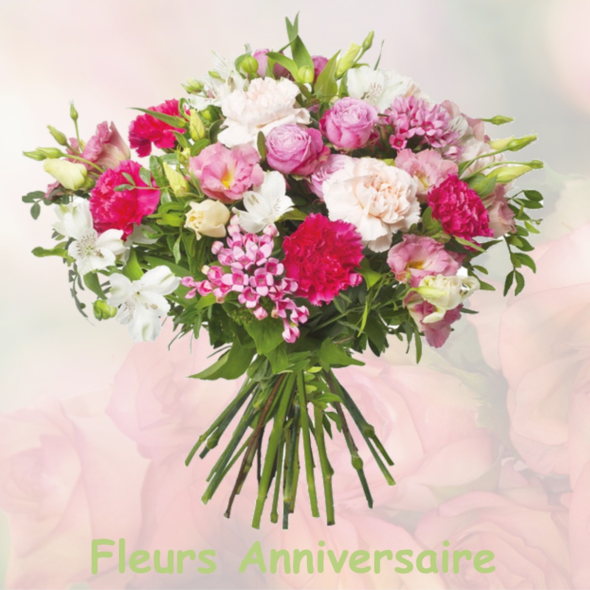 fleurs anniversaire VILLIERS-AUX-CORNEILLES